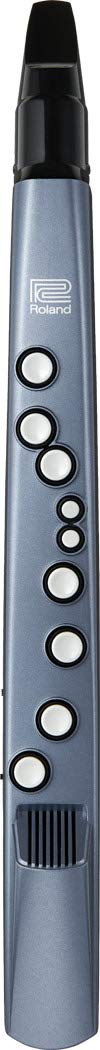 Roland AE-01 Aerophone Mini Digital Wind Instrument