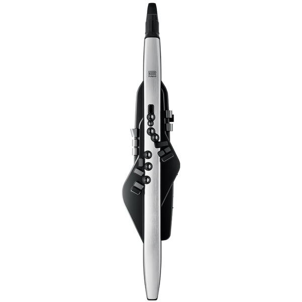Roland AE-30 Aerophone Pro Digital Wind Instrument