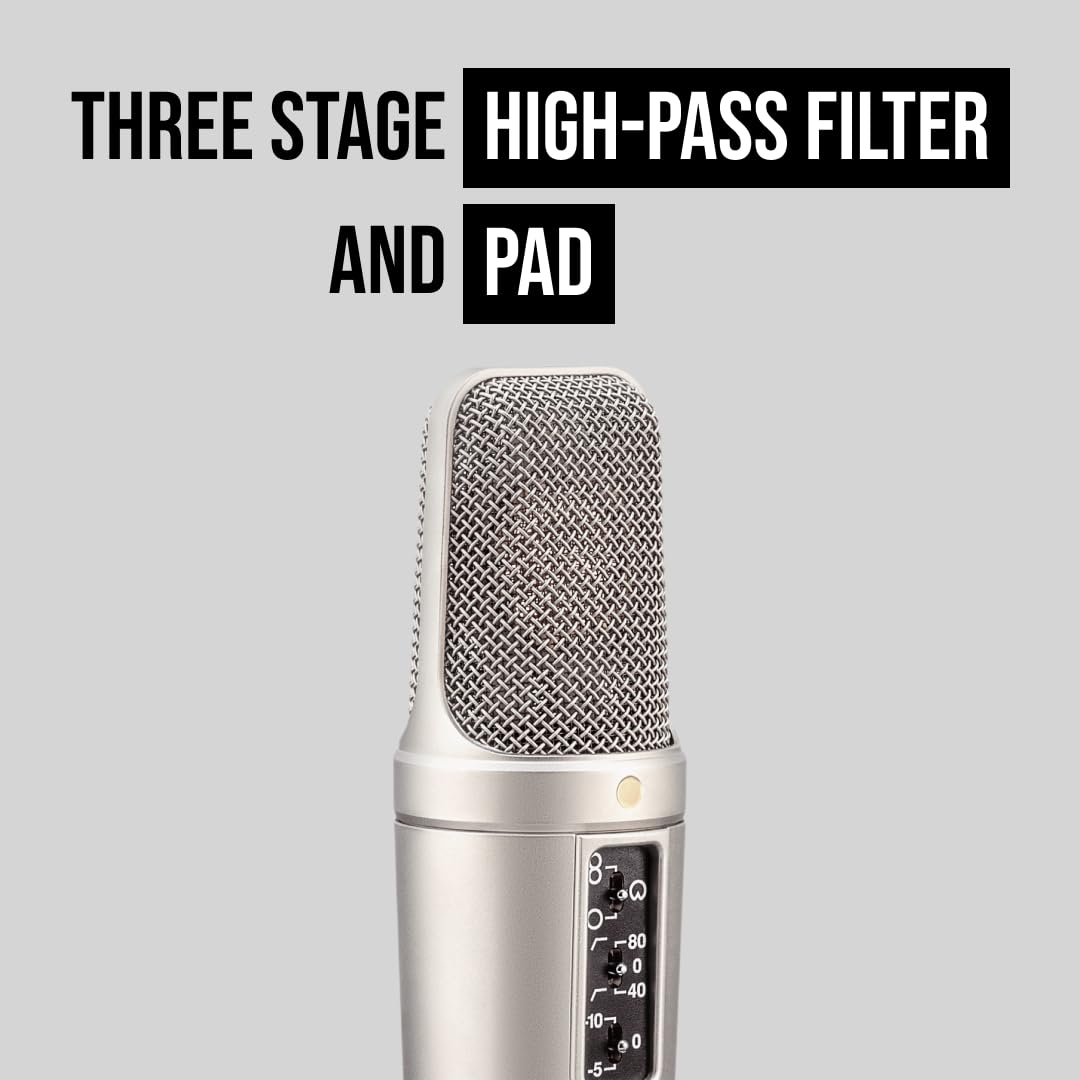 RØDE NT2-A Multi-Pattern Studio Condenser Microphone