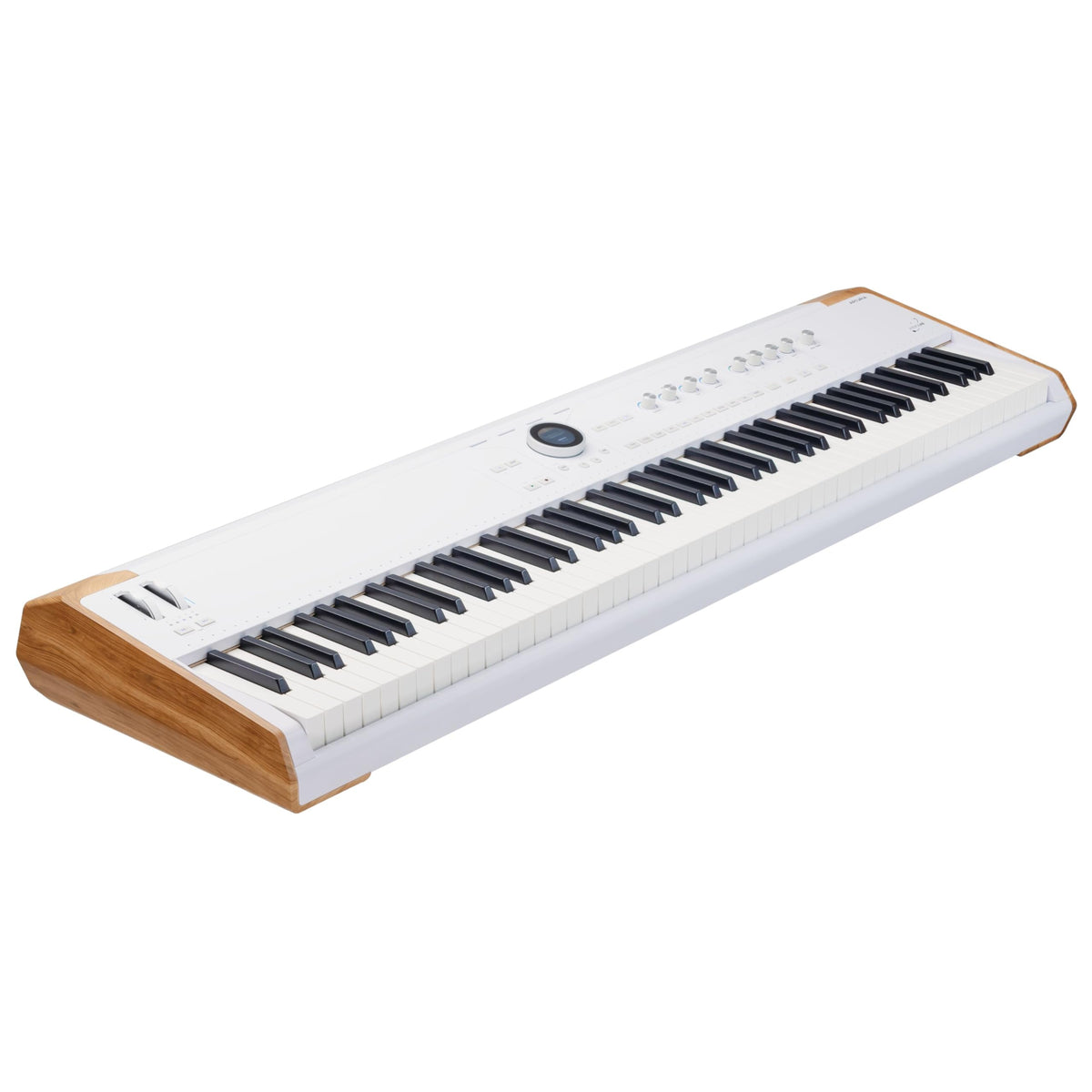 Arturia ASTROLAB 88 88-Key Hammer-Action Stage Keyboard