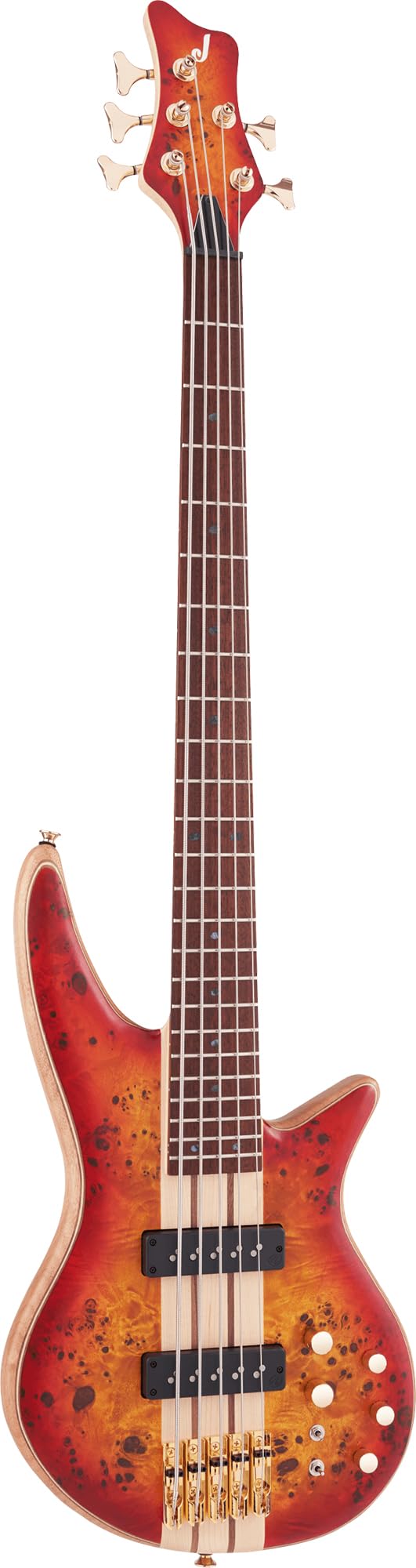Jackson 2919934515 Pro Series Spectra SBP V 5-String Bass