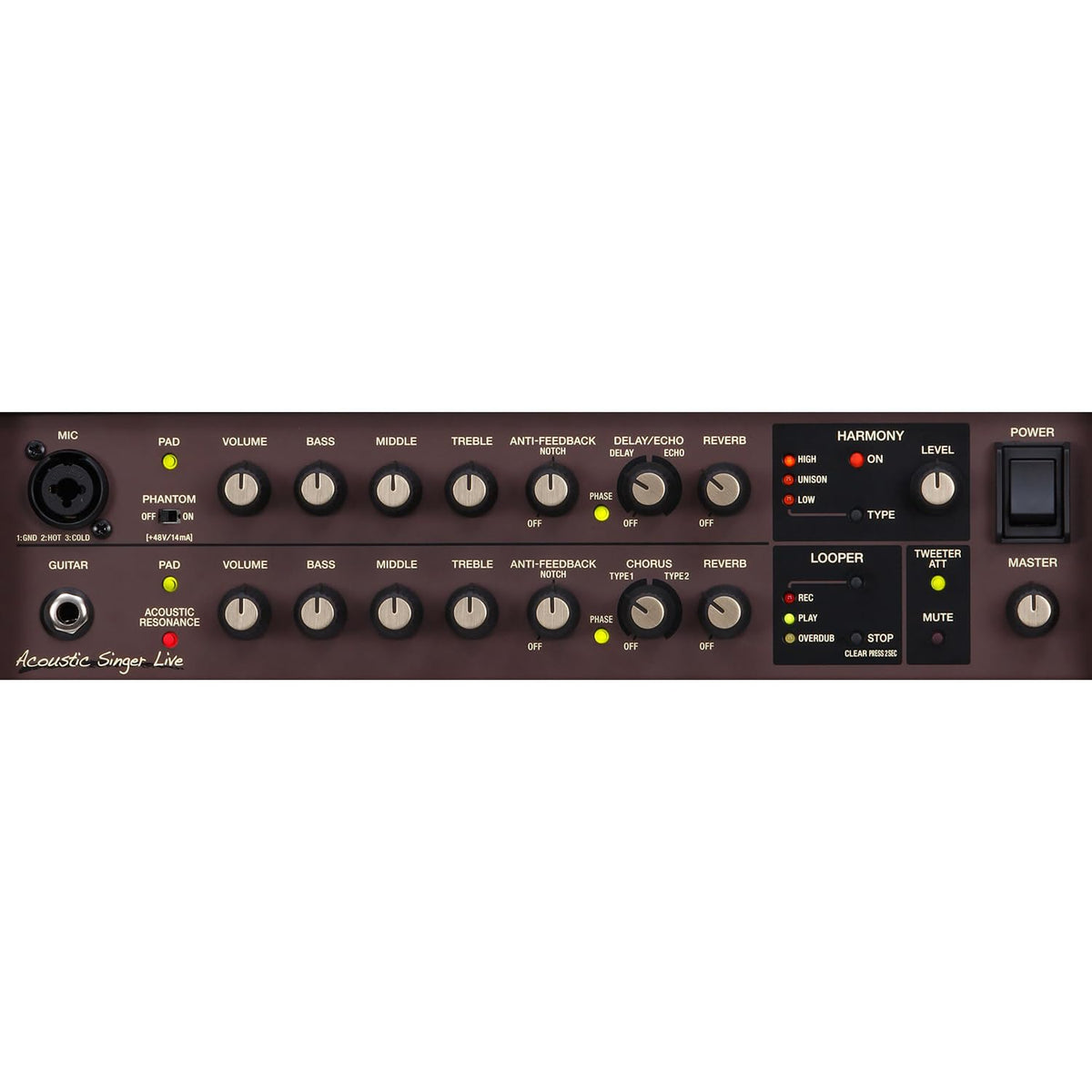 BOSS ACS-LIVE 60W Acoustic Guitar & Vocal Combo Amp