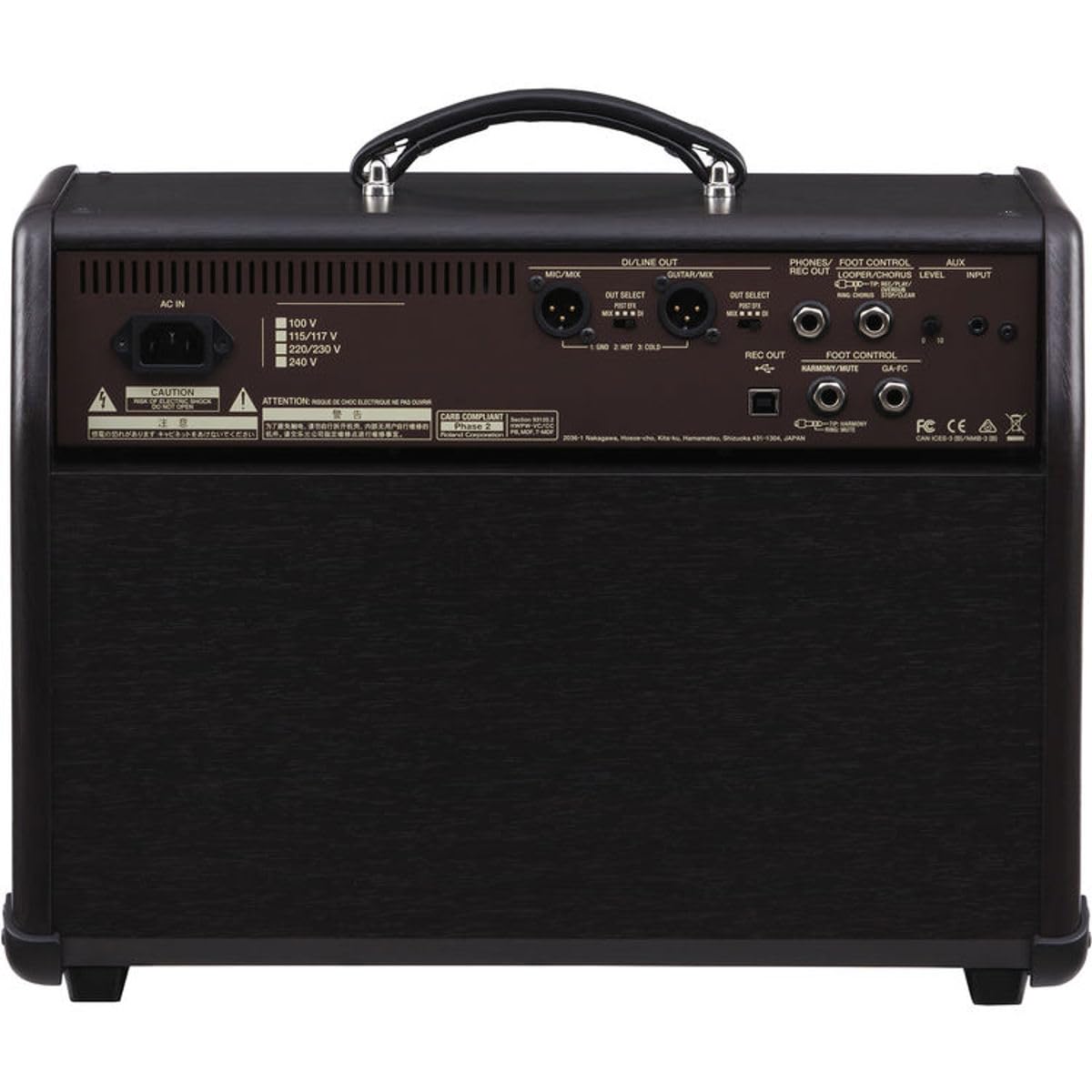 BOSS ACS-PRO 120W Acoustic Guitar/Vocal Combo Amplifier