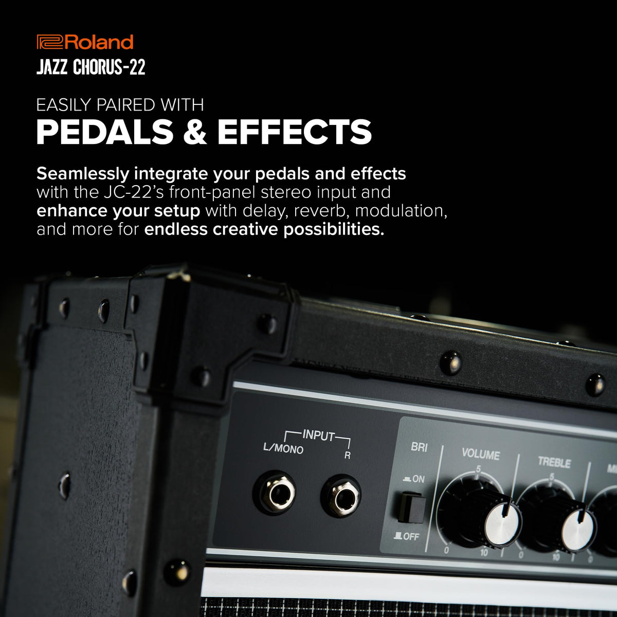 Roland JC-22 30W Stereo Guitar Amplifier with Dual 6.5" Speakers