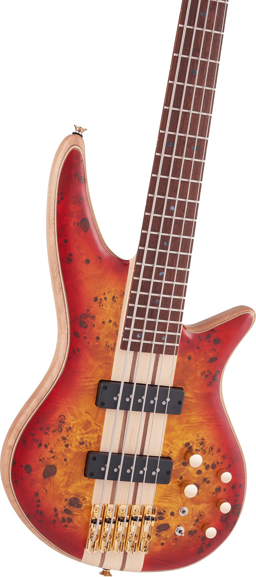 Jackson 2919934515 Pro Series Spectra SBP V 5-String Bass