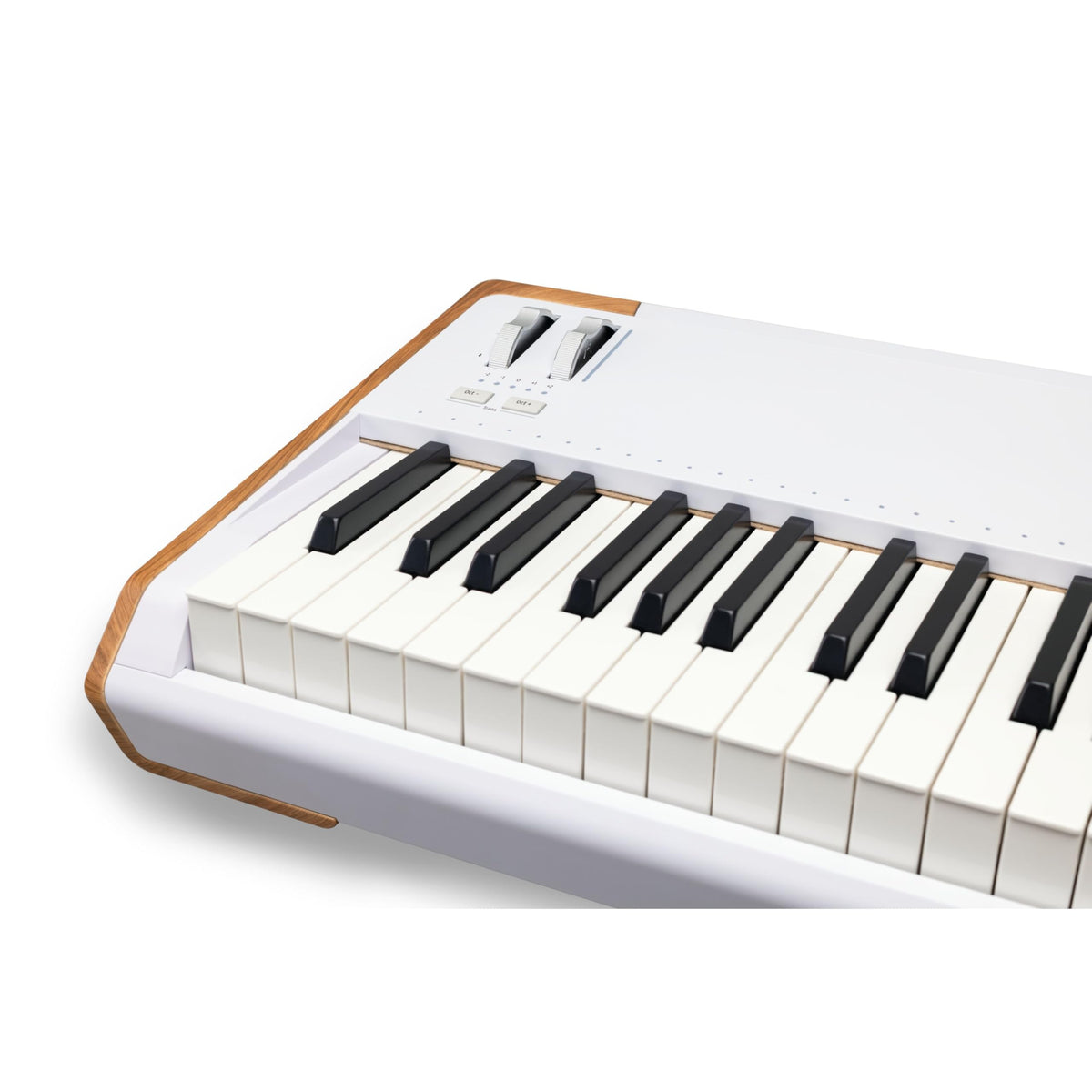 Arturia ASTROLAB 88 88-Key Hammer-Action Stage Keyboard