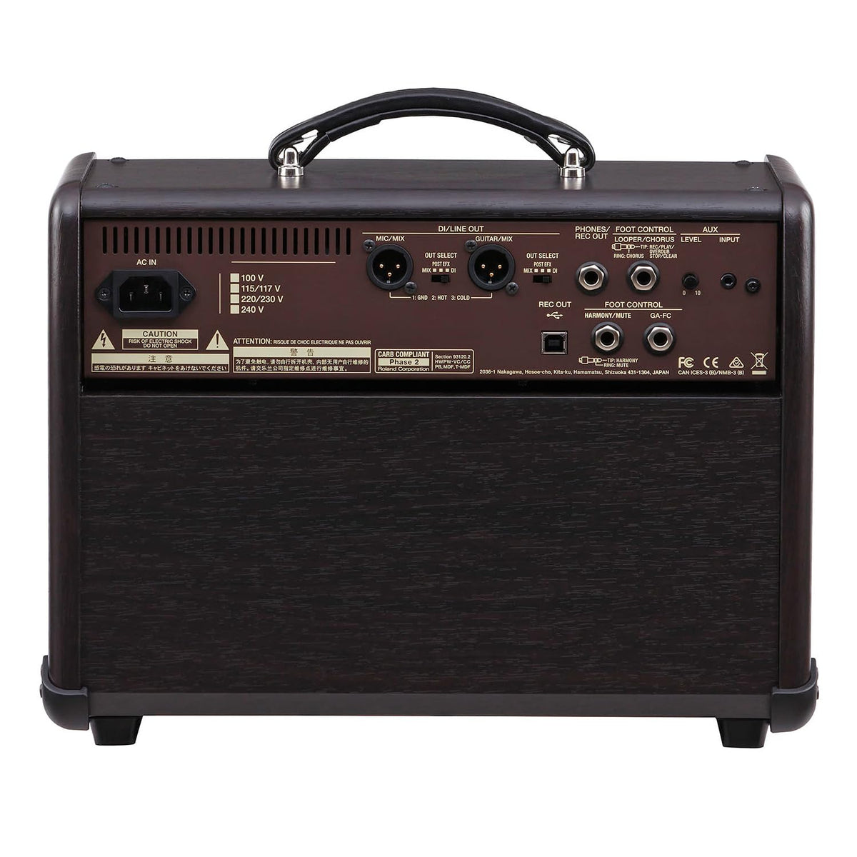 BOSS ACS-LIVE 60W Acoustic Guitar & Vocal Combo Amp