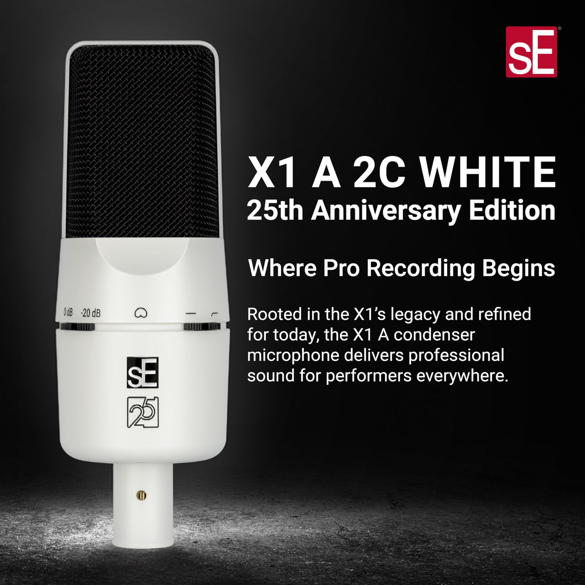 sE Electronics X1A-25AEWB X1 A 2C Condenser Microphone