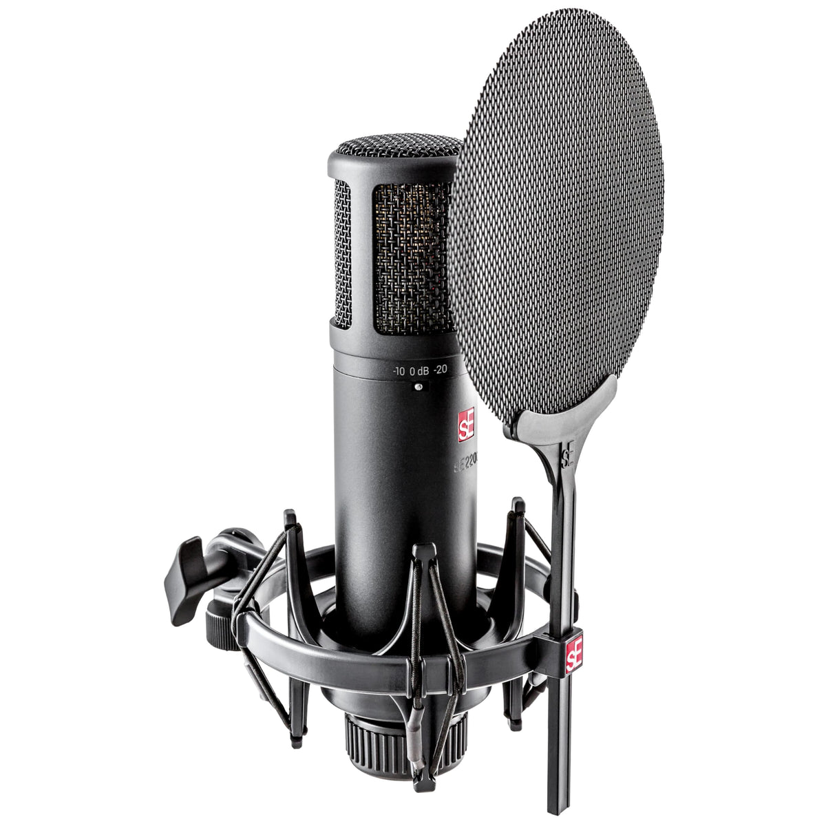 sE Electronics sE2200 Large-Diaphragm Condenser Microphone