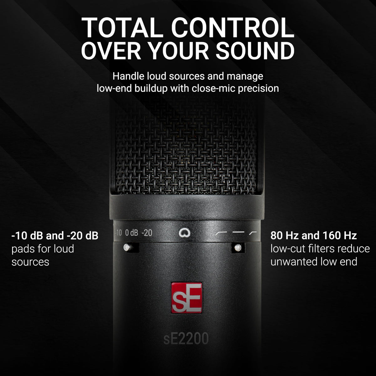 sE Electronics sE2200 Large-Diaphragm Condenser Microphone