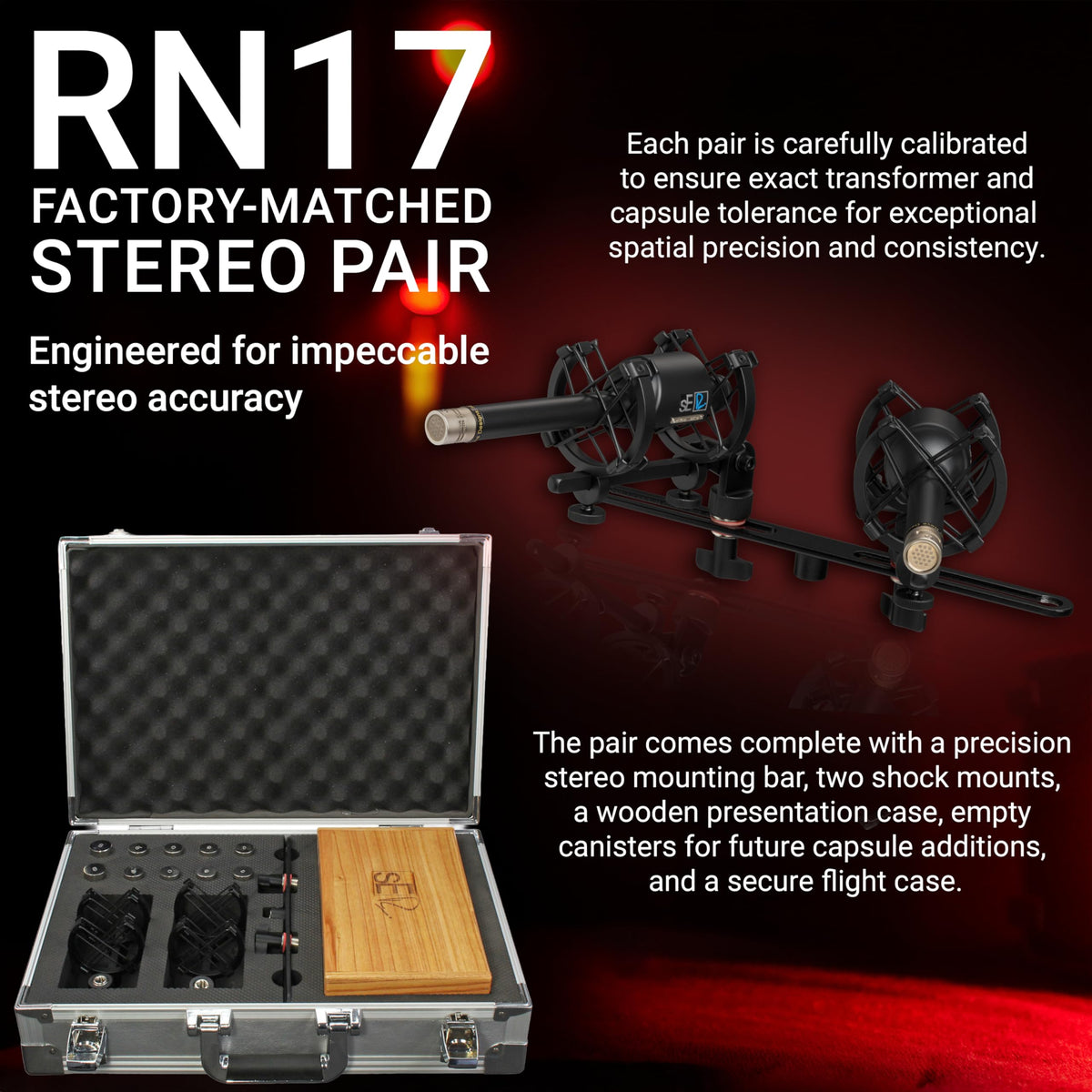 sE Electronics RN17 Cardioid Small-Diaphragm Condenser Mic