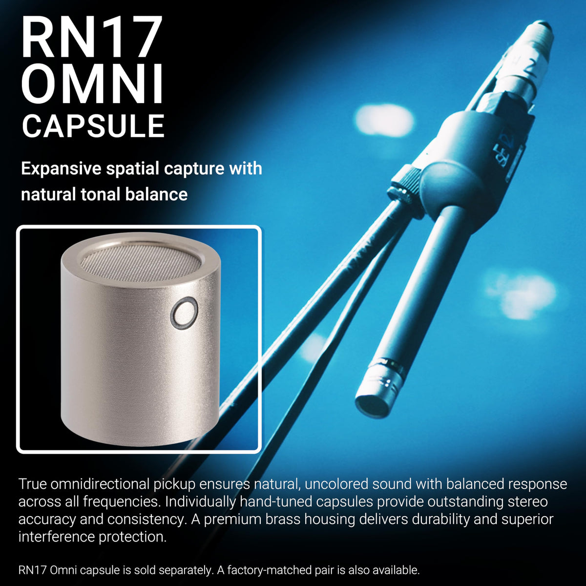 sE Electronics RN17(P) Matched Pair Condenser Microphones