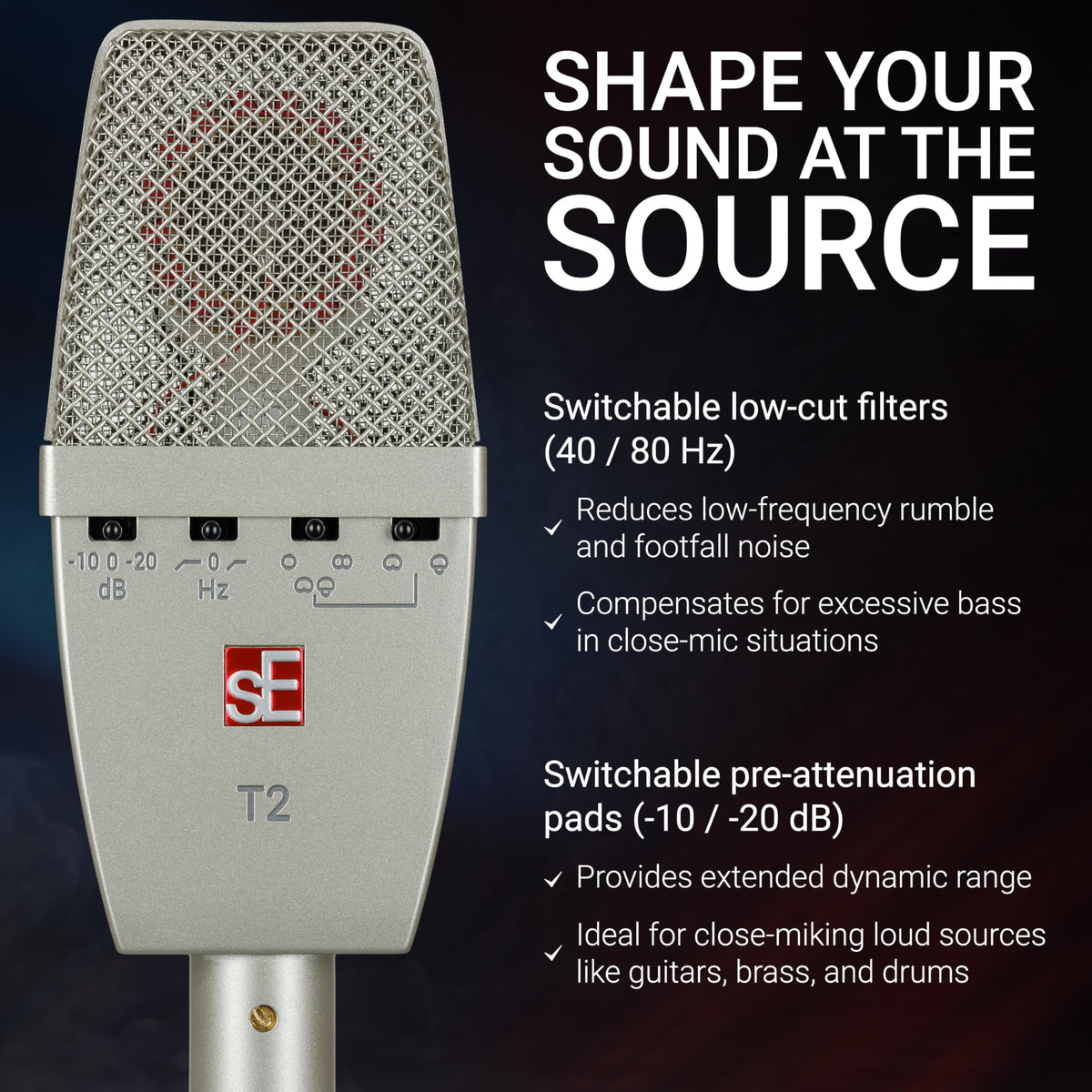 sE Electronics T2(P) Matched Pair Condenser Microphones