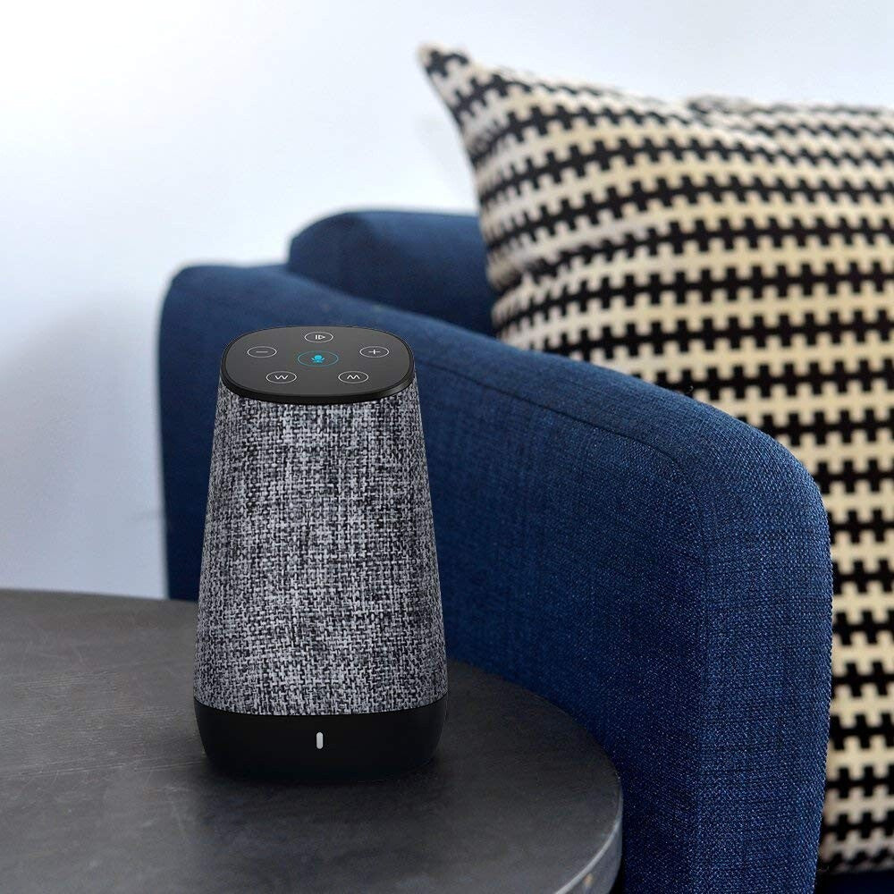 COWIN DIDA Portable Wi-Fi and Bluetooth Speaker