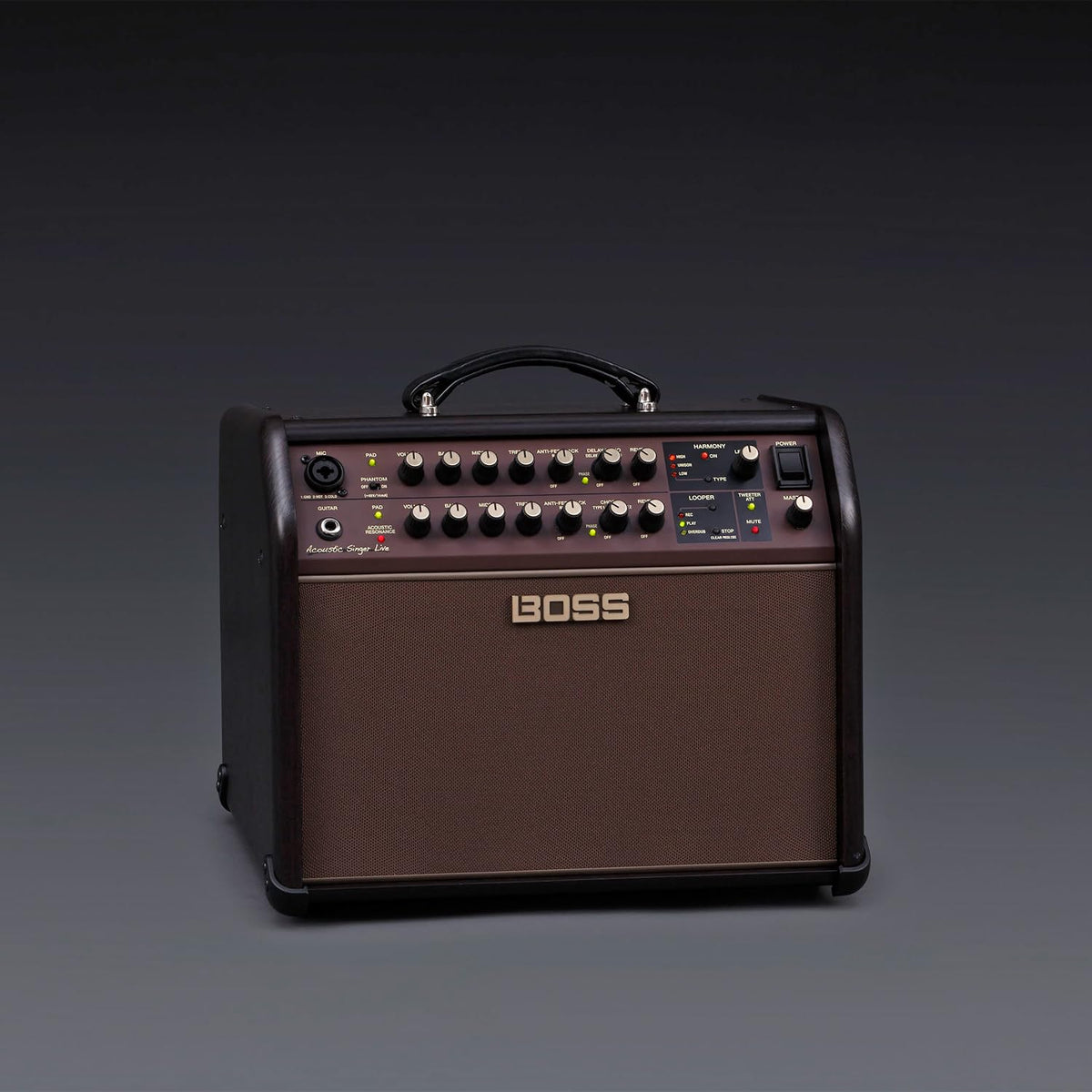 BOSS ACS-LIVE 60W Acoustic Guitar & Vocal Combo Amp