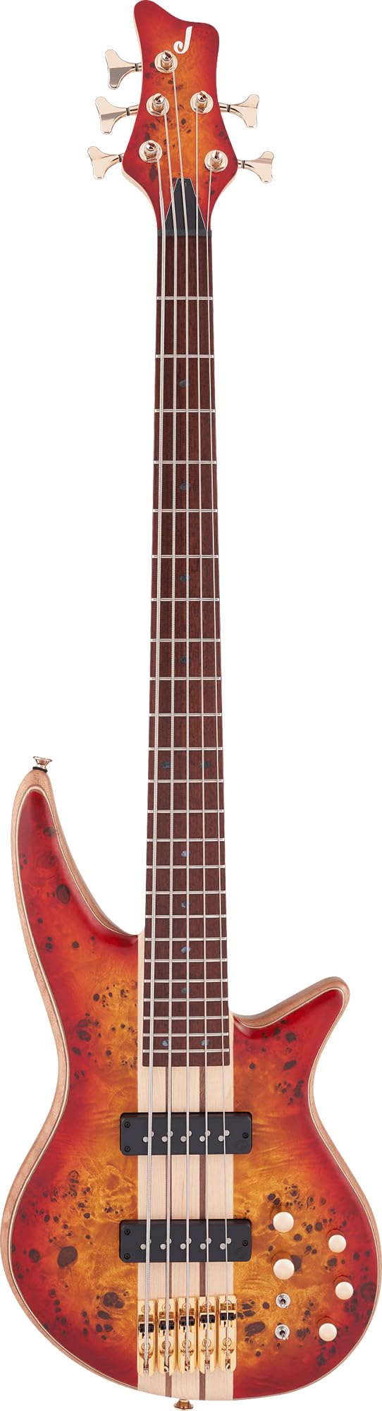 Jackson 2919934515 Pro Series Spectra SBP V 5-String Bass