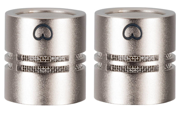 sE Electronics RN17 Cardioid(P) Matched Pair Microphones