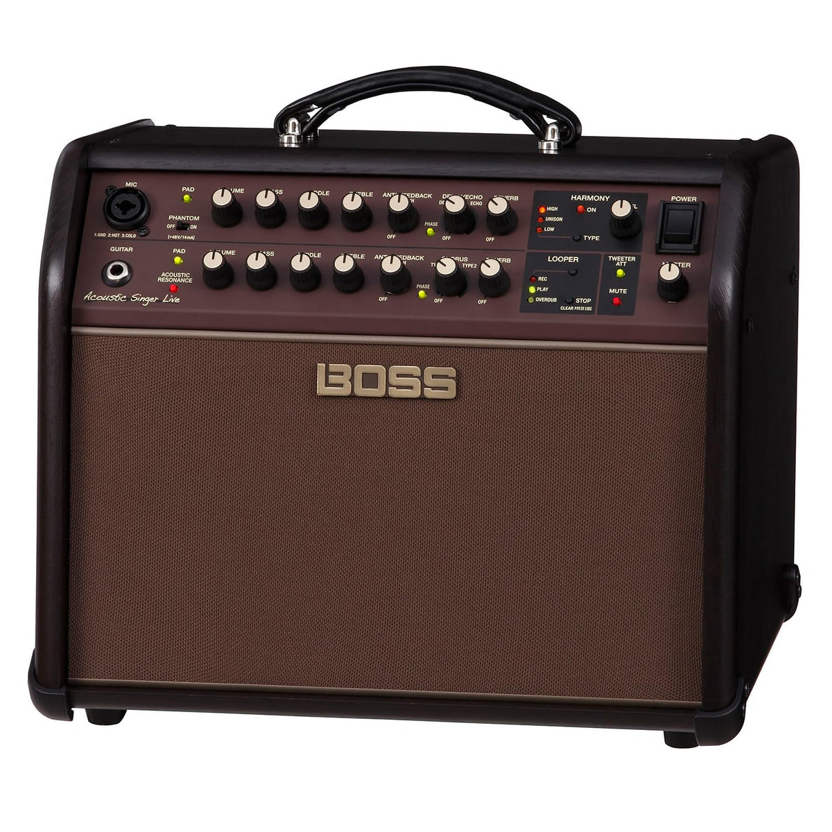 BOSS ACS-LIVE 60W Acoustic Guitar & Vocal Combo Amp