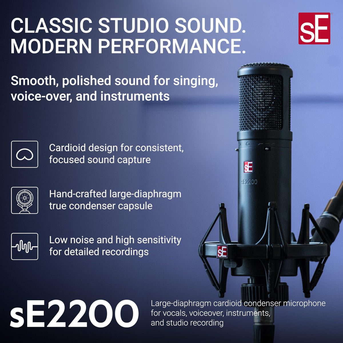 sE Electronics sE2200 Large-Diaphragm Condenser Microphone