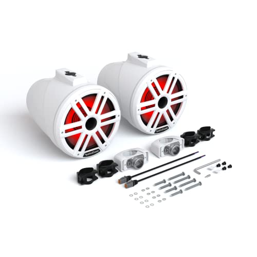 Rockford Fosgate M2WL-10H Color Optix 10