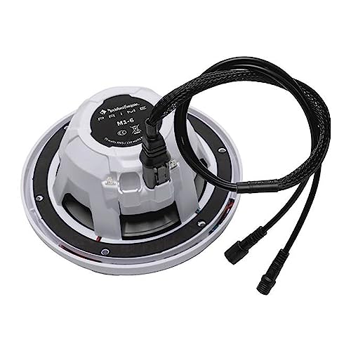 Rockford Fosgate RGB-Y4P 4-Pin Color Optix™ Y-Adaptor for PMX-RGB (Gen-2)